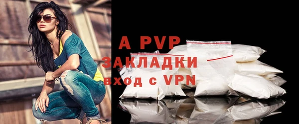 мдпв Бородино
