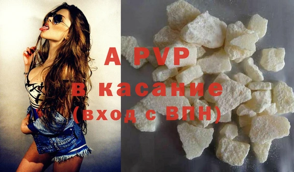 мдпв Бородино