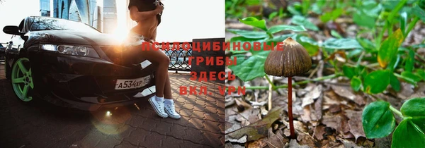 mix Верея